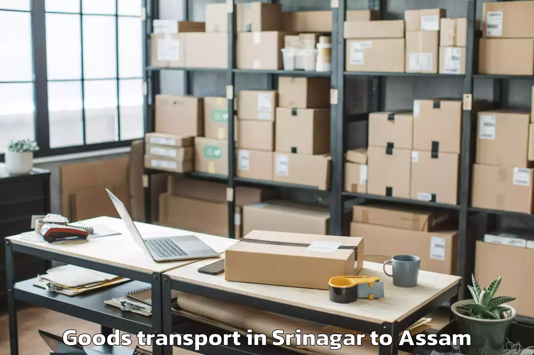 Top Srinagar to Samaguri Goods Transport Available